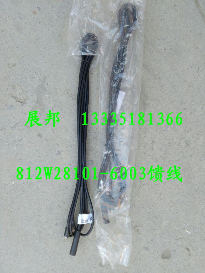 812W28101-6003,饋線,濟南冠澤卡車配件營銷中心