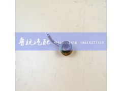 612600010750,618噴嘴組件（粗長(zhǎng)）612600010750,濟(jì)南魯杭汽配有限公司