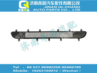 wg1642111016,C7B配件 C7B面罩網(wǎng)(二),濟(jì)南奇昌汽車配件有限公司