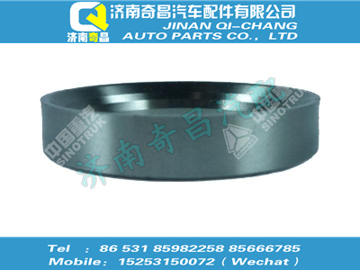 vg1540040102,金王子配件 金王子進氣門座,濟南奇昌汽車配件有限公司